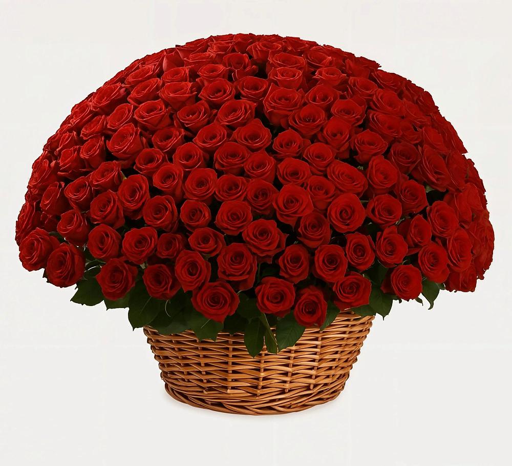 Премиум букет из: Розы в Сибирском