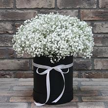 Цветочная композиция из Гипсофила в шляпной коробке в Сибирском