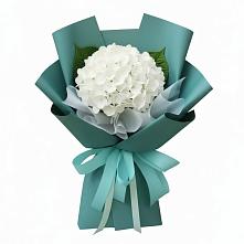 Букет цветов из:  Гортензия #REPLACE_PRED# Сибирском